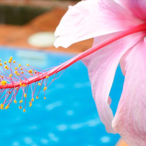 Tulia Boutique Hotel & Spa Arusha Dış mekan fotoğraf